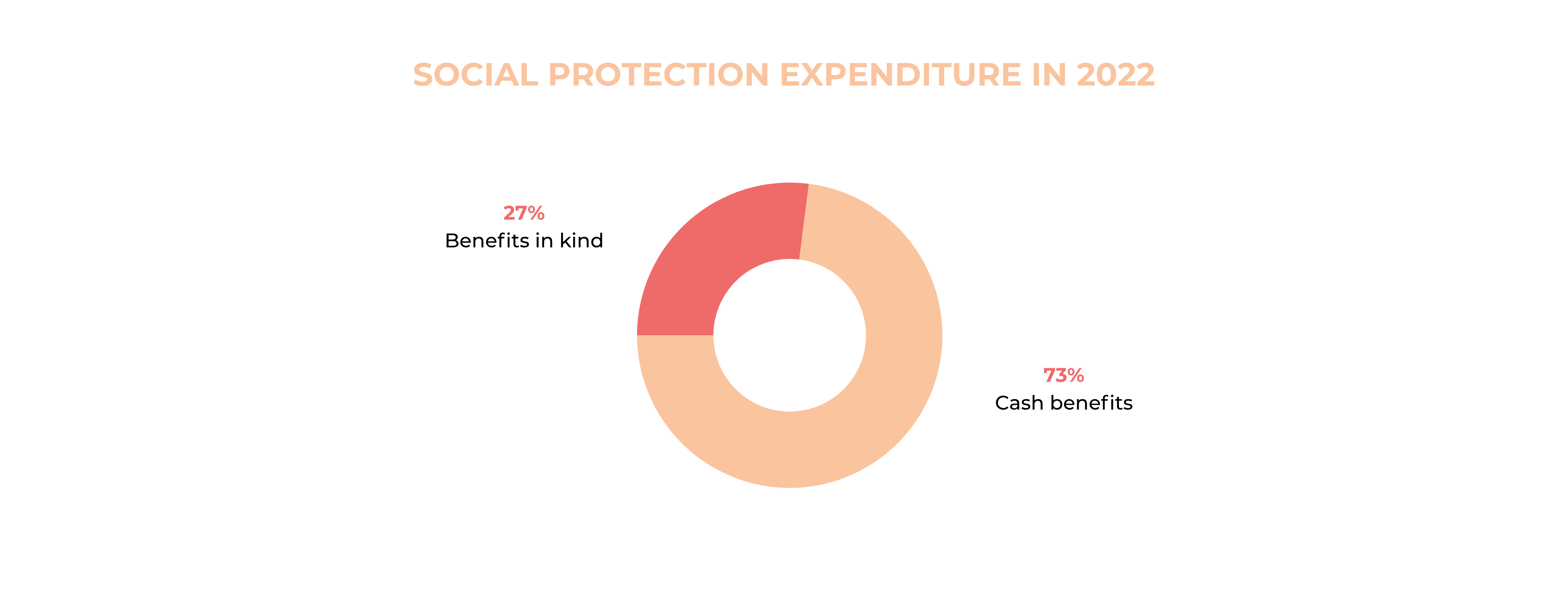 pie chart social protection expenditure in 2022