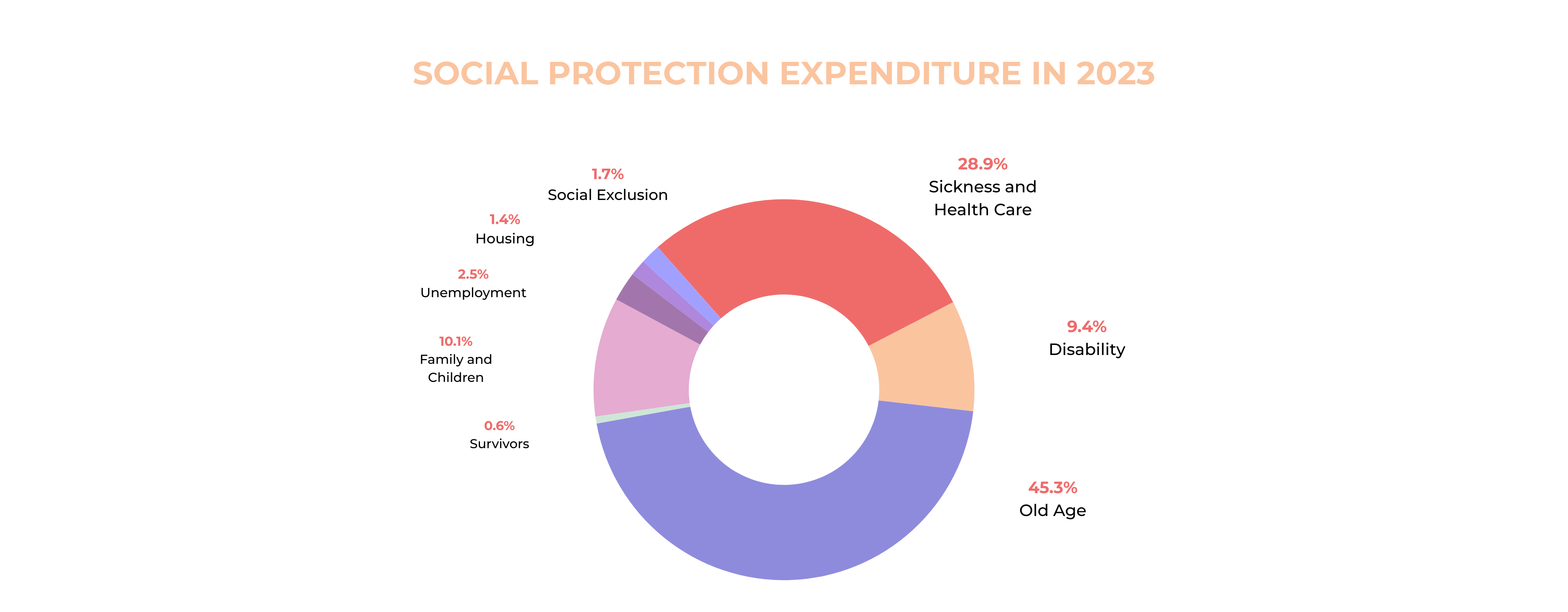 Pie chart social protection expenditure in 2023