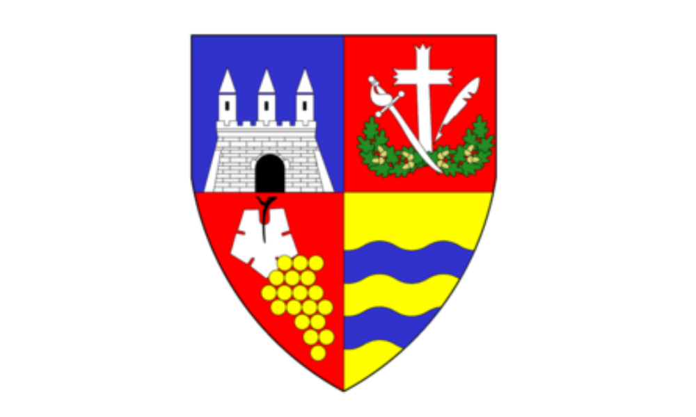 Arad County Council - General Direction of Social Assistance and Child Protection