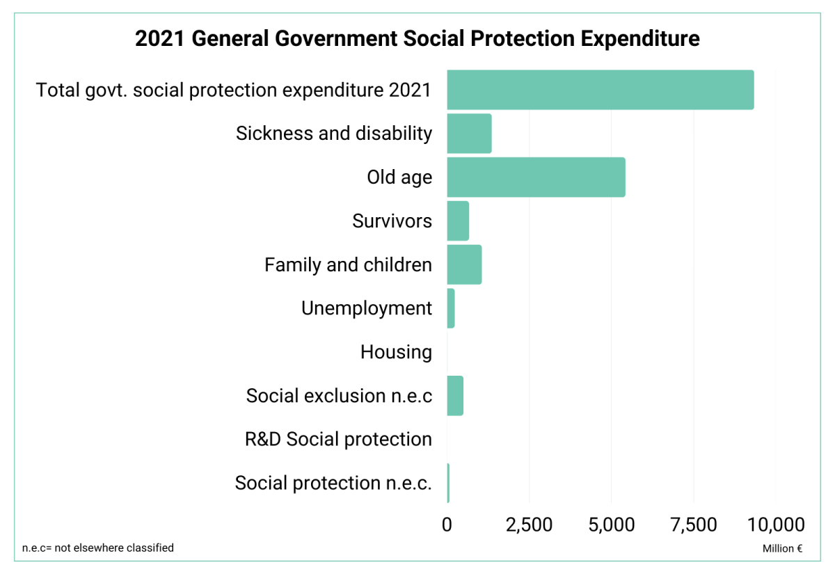 2021 General Government Social Protection Expenditure Slovenia