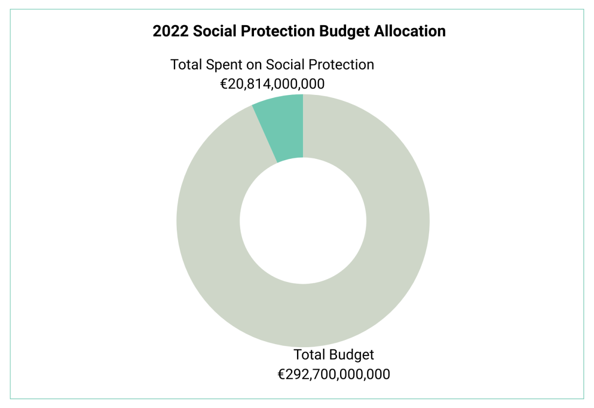 Social Protection Budget Allocation in France 2022