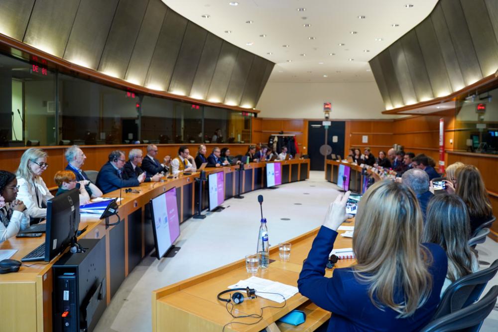 ESN European Parliament round table 