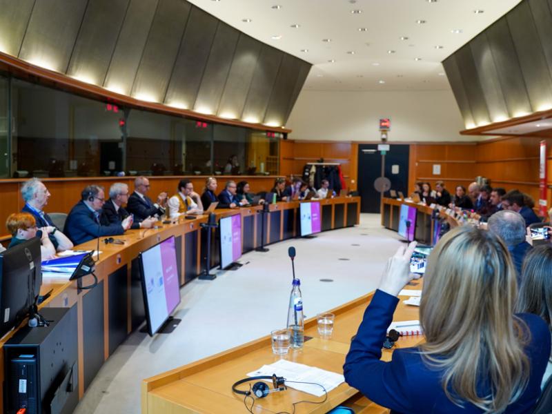 ESN European Parliament round table 