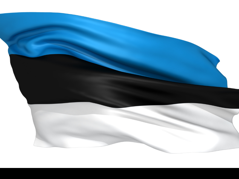 the picture depicts the flag of estonia