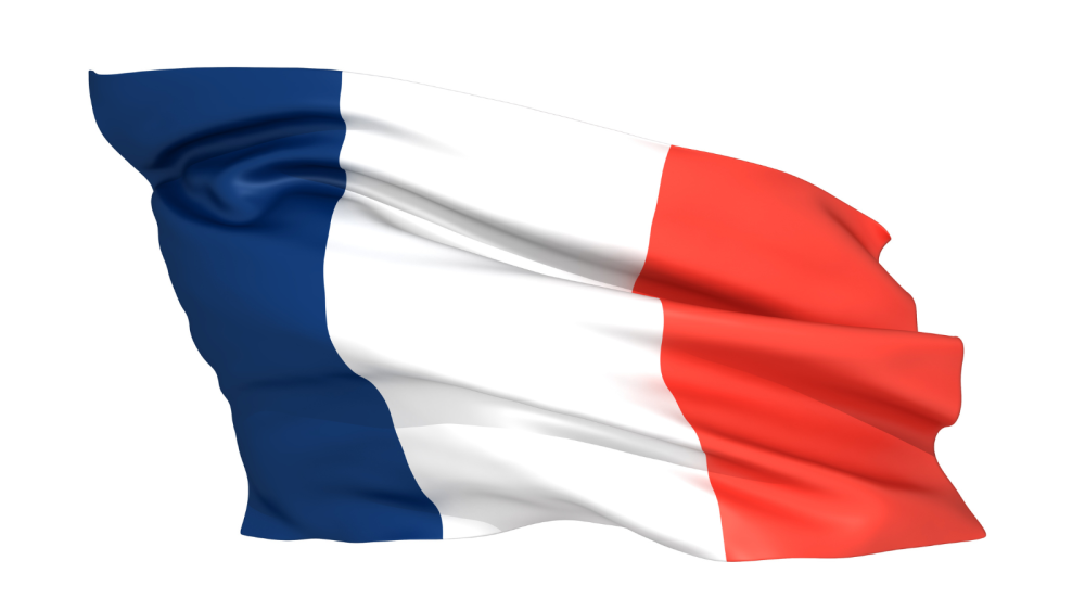 the picture depicts the flag of france
