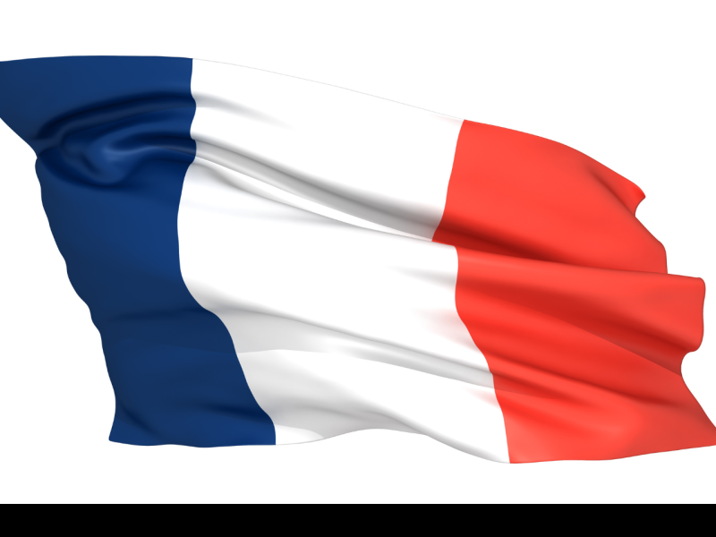 the picture depicts the flag of france