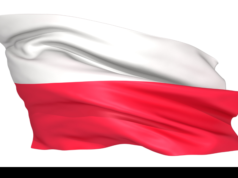 the picture depicts the flag of poland