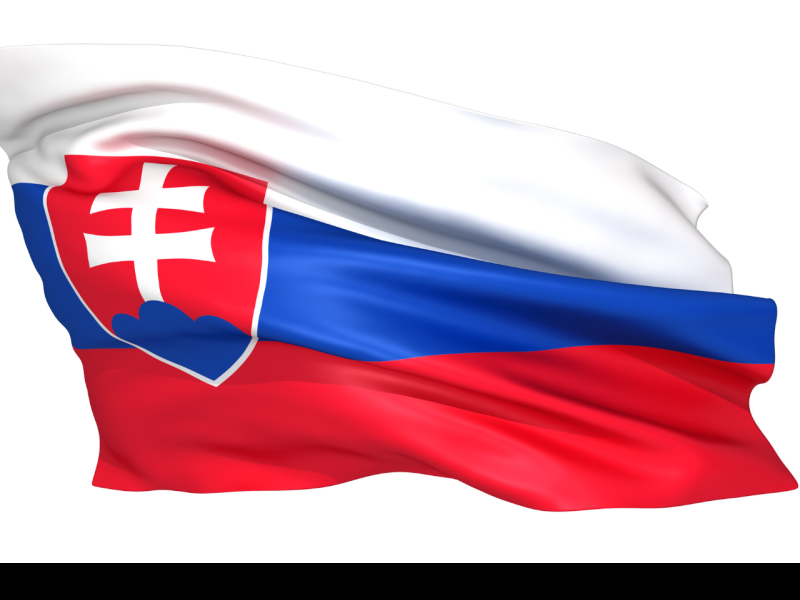 the picture depicts the flag of slovakia