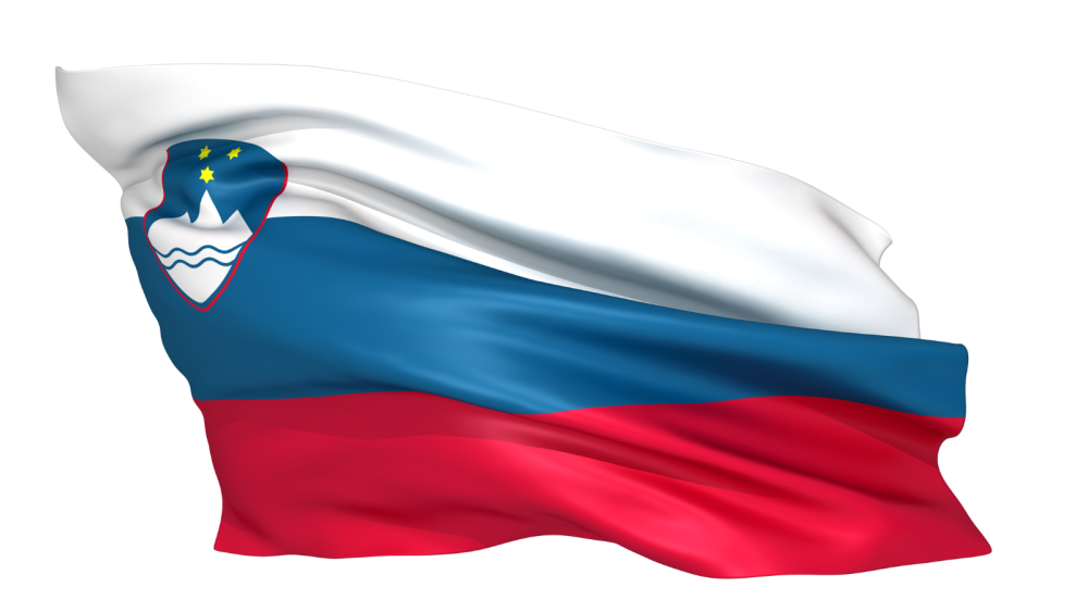 the picture depicts the flag of slovenia