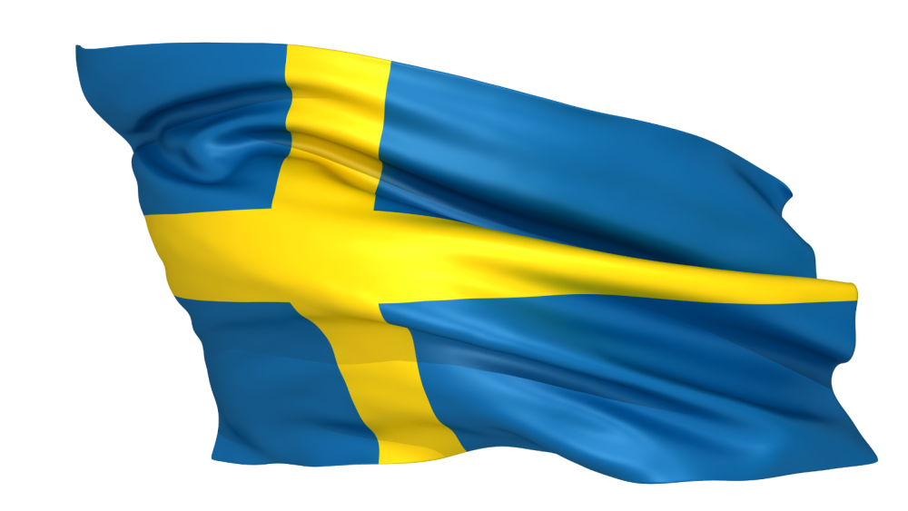 the picture depicts the flag of sweden