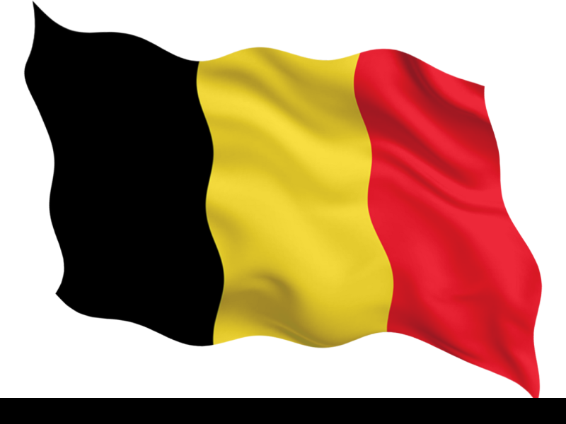 the picture depicts the flag of belgium