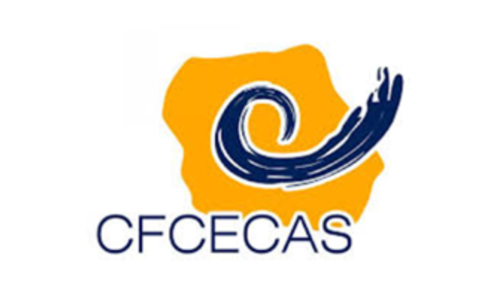 Centre for Training and Assessment in Social Work (CFCECAS)