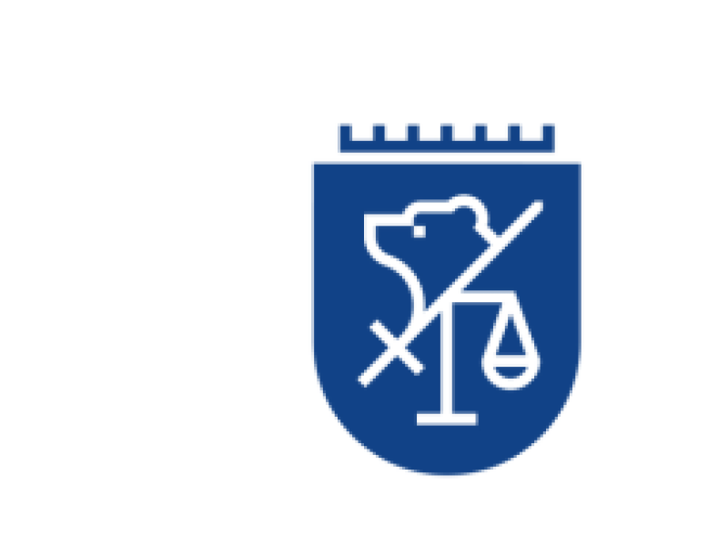 svg