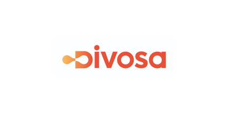 Association of Directors of Social Services (Divosa)