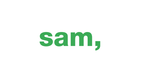Association for Professionals in the Public Social Domain (SAM)