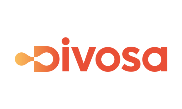 Association of Directors of Social Services (Divosa)